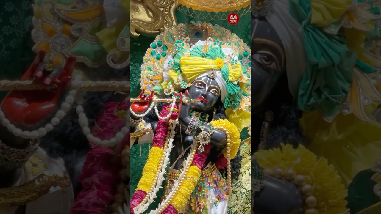 🌸Today’s Special Darshan 24th Sept 2026 🌸 Sri Sri Radha Madhava Mandir ISKCON Attapur, Hyderabad