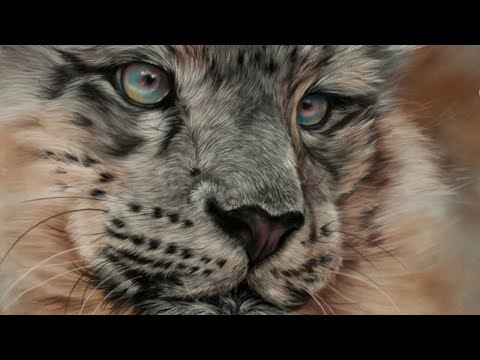 Snow Leopard in Pastel Part 1