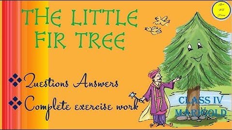 English, Class 4 | The little Fir Tree | Questions Answers | Complete Exercise Work(NCERT solutions)