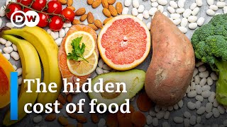 Is our food costing us more than we pay | DW Business