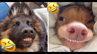 Funny TikTok Compilation | Try Not To Laugh Challenge 2020/2021 screenshot 2