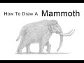 How to Draw a Mammoth