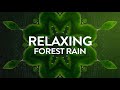 Relaxing Forest Rain &amp; Thunder | No Music | Healing Natural Atmosphere