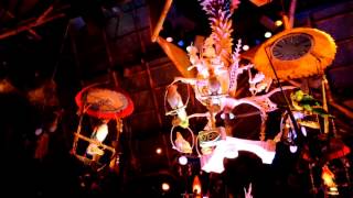 Walt Disneys Enchanted Tiki Room POV