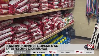 Donations pouring in for rescued dogs in Pennsylvania