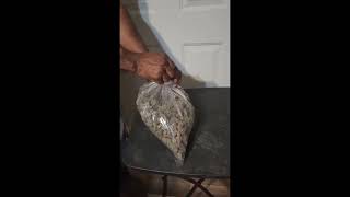 Legal THCA Hemp Flower | Cheapest Verified Bulk Exits | OC CC OR Distribution | Pro Buyer Only