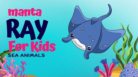 Manta Ray fish | sea creatures | sea animals for kids | aquatic animal facts