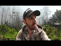 Spooky forest investigation in sumatras mountains 