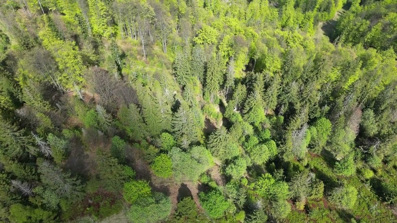 Stożek ‐ majówka w Beskidzie Śląskim