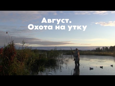 Про охоту и охотников с Валерием Кузенковым. Сезон 3. Август. Охота на утку