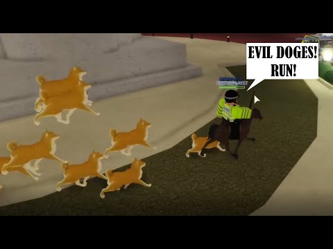 Roblox Exploiting Shorties - Doge Invasion