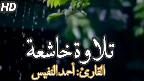 تلاوة خاشعة | القارئ أحمد النفيس | حالات واتس اب دينية | اطمئن |