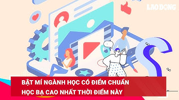 Bật mí ngành học có điểm chuẩn học bạ cao nhất thời điểm này | Báo Lao Động