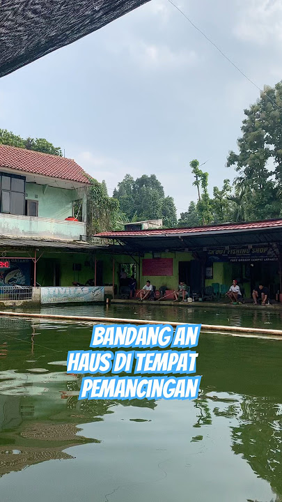 Kasian  berhenti terbang hanya perlu air minum #cover #pemula #burung #pecintamerpati #pigeon #brids