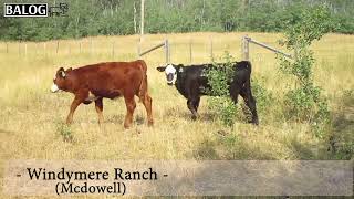 Windymere Ranch (McDowell) Update