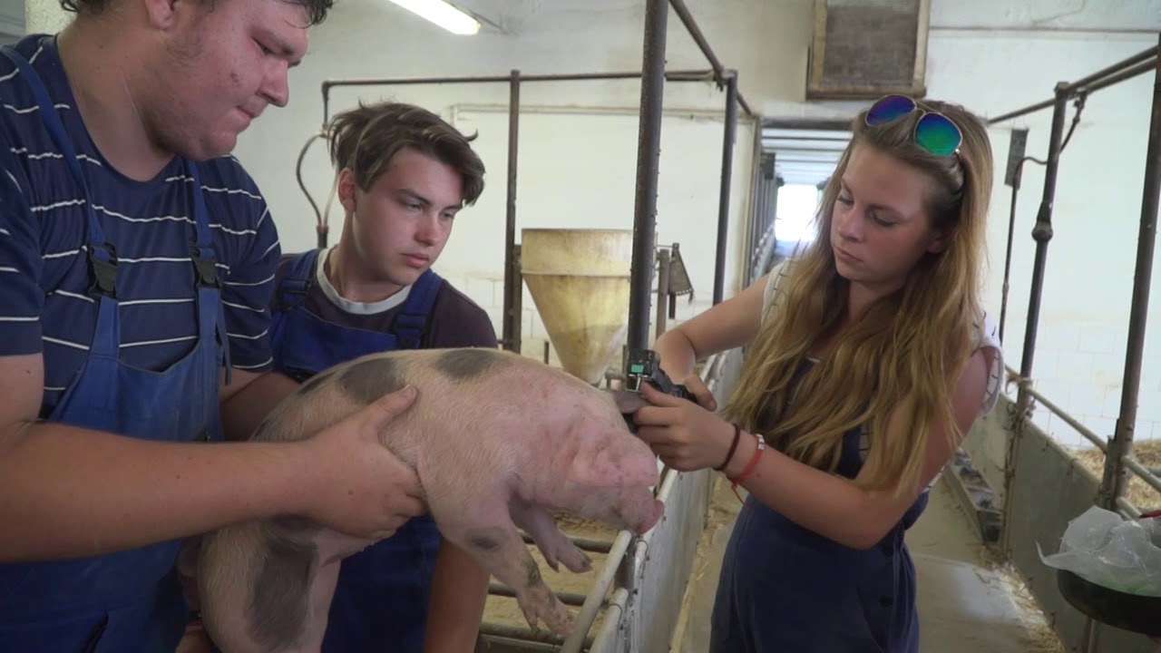 Střední škola zemědělská a VOŠ Chrudim - Videovizitka