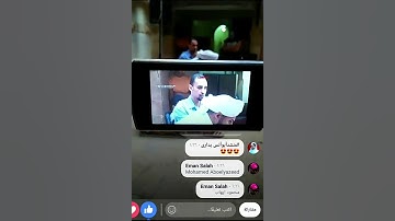 #سورة_الشرح || تلاوه تشرح الصدور || القارئ محمد ربيع
