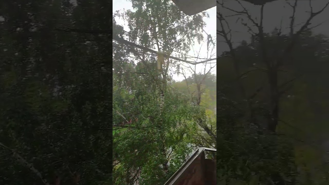 20 августа 2023 г.