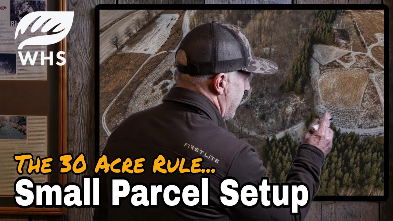 Small Parcel Deer Hunting Setup 