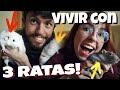 Cómo es vivir con TRES RATAS? Consejos | Vlogmas