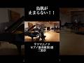 鳥肌が止まらなすぎるクライマックス!! #piano #pianist #shorts #ピアノ #ピアニスト #ショート #music #rachmaninoff #ラフマニノフ