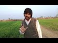 Punjabi culture or hamara vlog