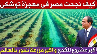 كيف نجحت مصر فى معجزة توشكى 👈 اكبر مشروع لانتاج القمح و اكبر مزرعة تمور بالعالم