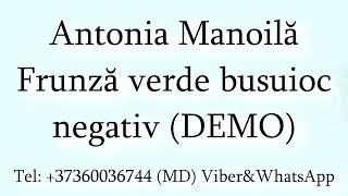 Antonia Manoila - Frunza verde busuioc (Negativ) DEMO