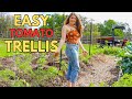 Trellis to make them jealous is it really that easy  trellis verticalgarden