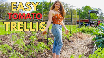 TRELLIS to make them JEALOUS! Is it really THAT EASY??  #trellis #verticalgarden