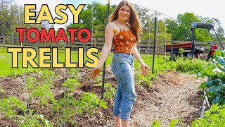 TRELLIS to make them JEALOUS! Is it really THAT EASY??  #trellis #verticalgarden by Homesteading with Shelby 111,716 views 1 month ago 11 minutes, 49 seconds