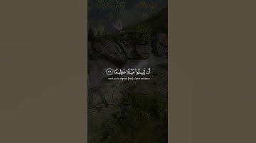 تلاوة خاشعة بصوت القارئ طارق محمد|حالات واتس اب |والله يريد ان يتوب عليكم ويريد الذين يتبعون الشهوات