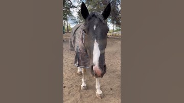 Made this edit a really long time ago who else misses Jackson maybe I’ll see him soon 💗