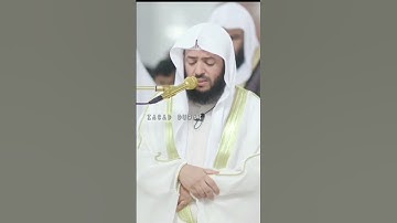 الشيخ #وديع_اليمني تلاوة تأخذ بمجامع القلب 🤍🎧🍀