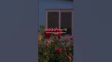 #سورة_المائدة #سعود_الشريم #short