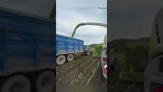 how to make silage use from corn || silage || tractor | the smart agriculture
