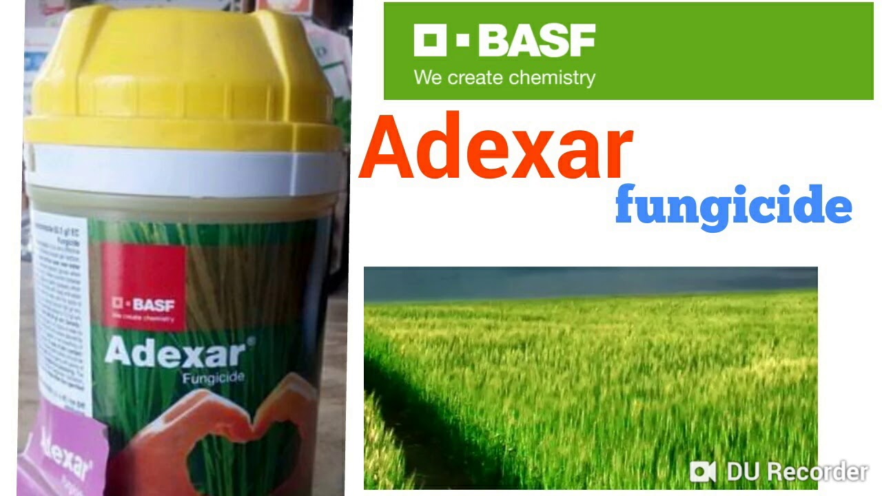 BASF Adexar fungicide Adexar fluxpyroxad62.5