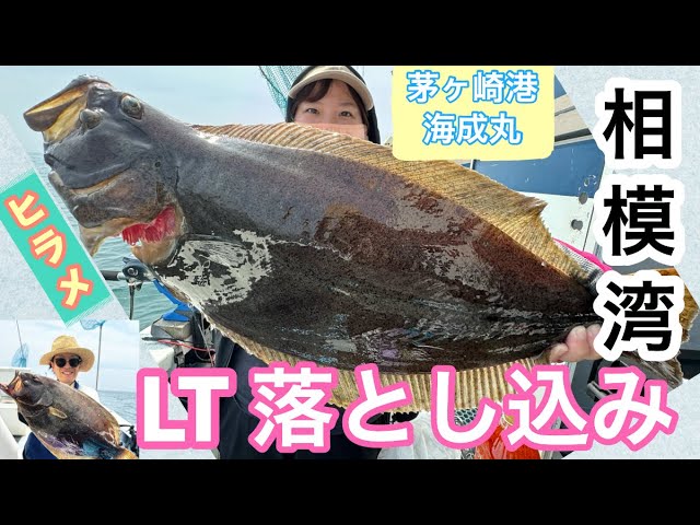 Drop fishing] Why not try the easy LT drop fishing in Sagami Bay