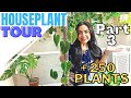 HOUSEPLANT TOUR - PART 3!!! +++250 plants Tour /Plant names and Updates 💚💚💚🥰🥰🥰