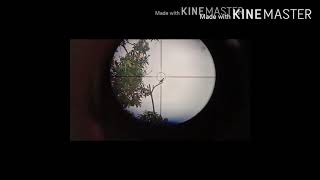 Download Lagu Berburu burung dekukur MP3 Download Lagu Berburu burung dekukur MP3