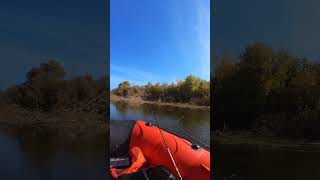 Рыбалка #осень #ока #коломна #рыбалка #fishing #нднд #nature