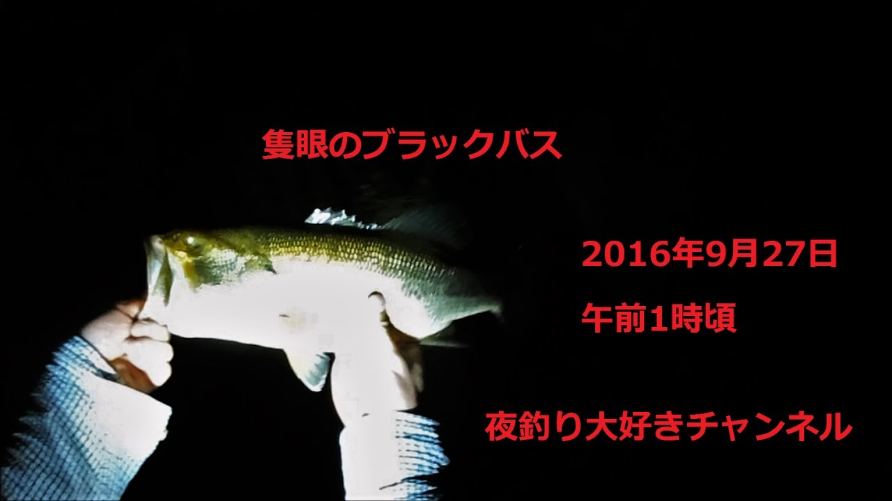 激レア 隻眼のブラックバス 琵琶湖 夜釣り 16年9月27日 Youtube 激レア 隻眼のブラックバス 琵琶湖 夜釣り 16年9月27日 Youtube