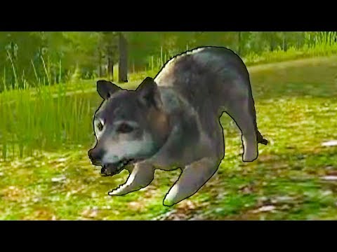 Видео: Симулятор маленького ПИТОМЦА #20 Волчья семья и щенята Кида. Дикие животные на пурумчата
