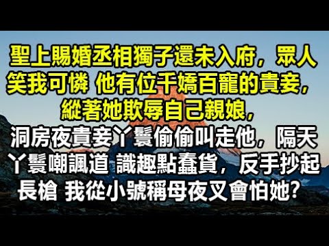 聖上賜婚丞相獨子還未入府，眾人笑我可憐 他有位千嬌百寵的貴妾，縱著她欺辱自己親娘，洞房夜貴妾丫鬟偷偷叫走他，隔天丫鬟嘲諷道 識趣點蠢貨，反手抄起長槍 我從小號稱母夜叉會怕她？