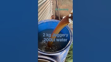 Preparation of OWDC ( Original Waste Decomposer)