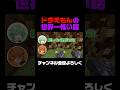 有名すぎて答え当たらない説www#マイクラ #minecraft #shorts