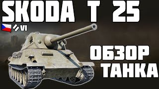 Škoda T 25 - ОБЗОР ТАНКА! World of Tanks!