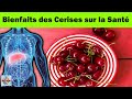 Les cerises  un concentr de bienfaits pour votre sant  tout ce que vous devez savoir 