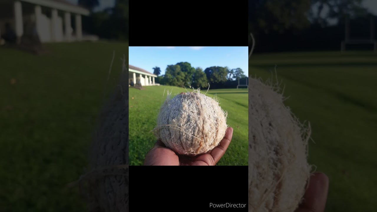 Rizu Meha (Isa vibez)