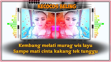 KECOCOS BELING (Lirik) - ITY ASHELLA
